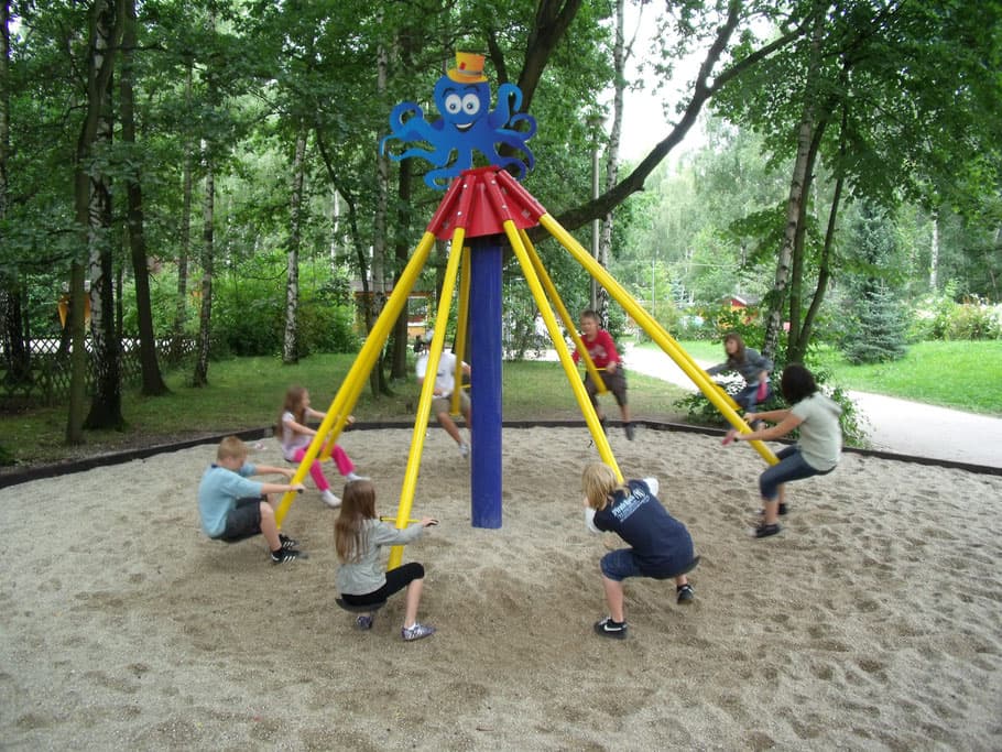 Image Component