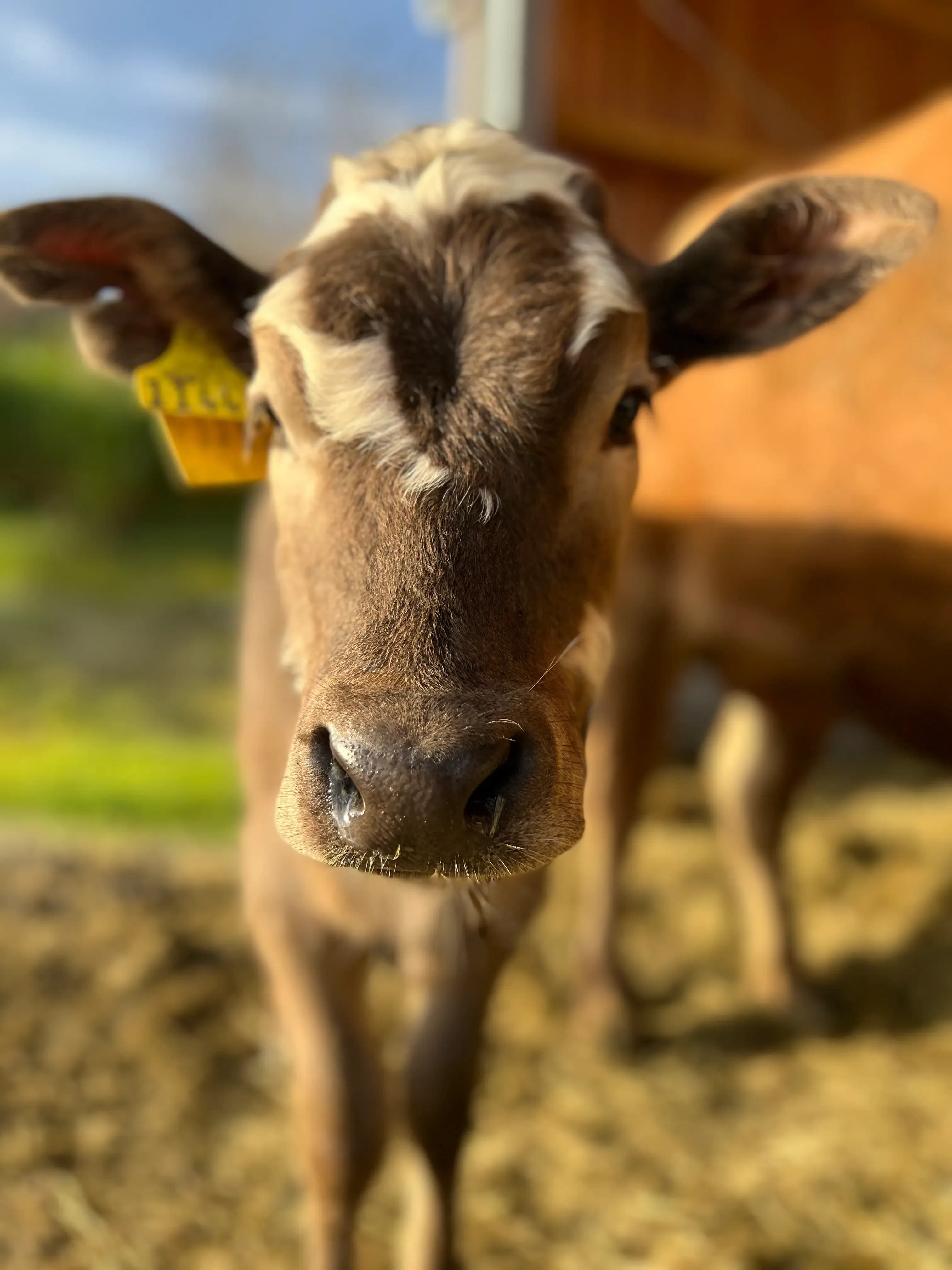 Familienurlaub direkt am Nationalpark – Natur, Tiere & Abenteuer erleben