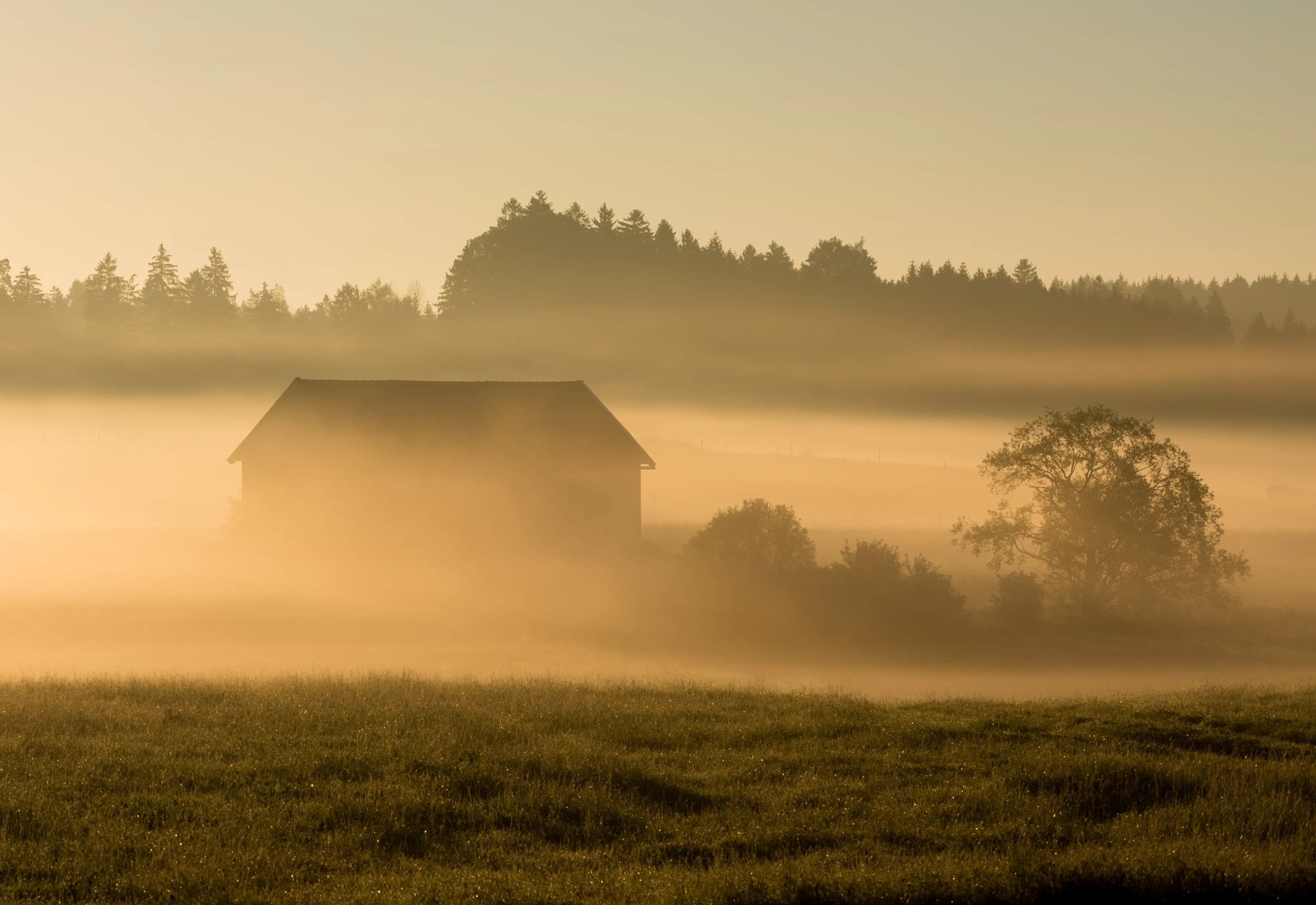 Grenzübergreifender Urlaub im Dreiländereck – Natur für die ganze Familie