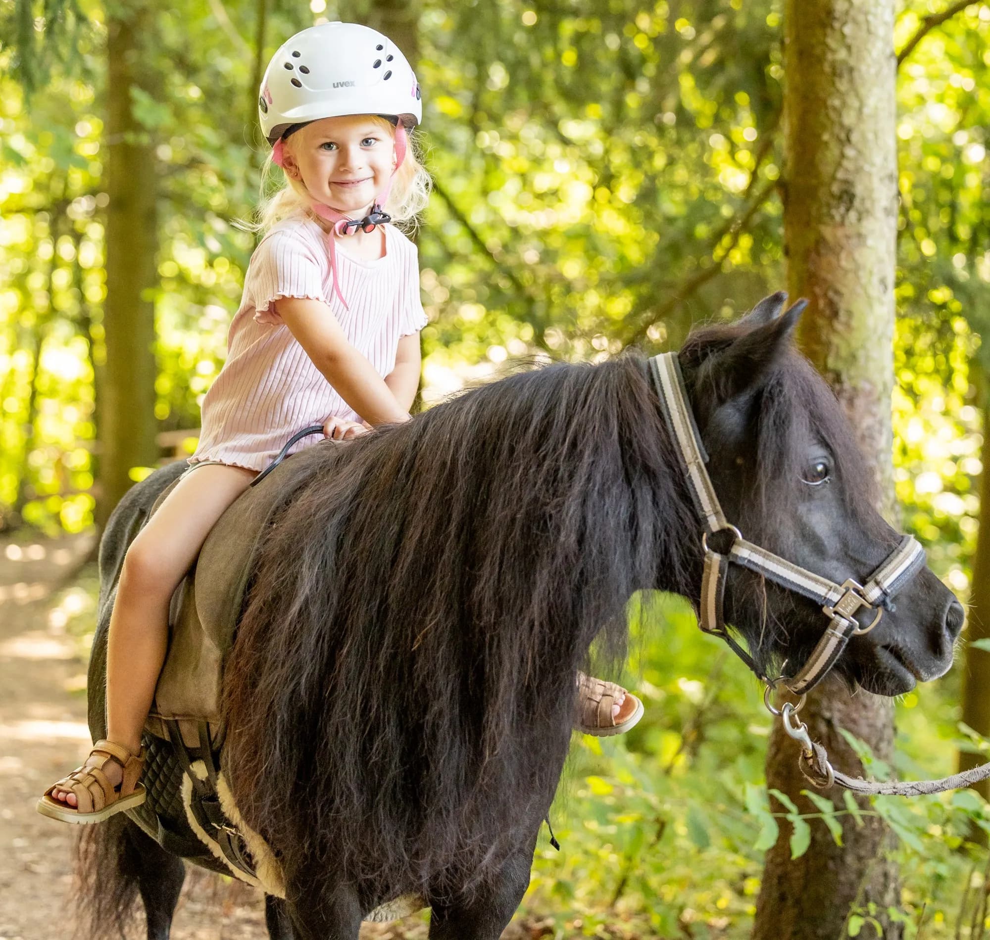 Familienhotel Schreinerhof im Bayerischen Wald