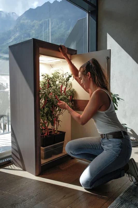 Hochwertiges Growbox-Komplettset aus Österreich kaufen