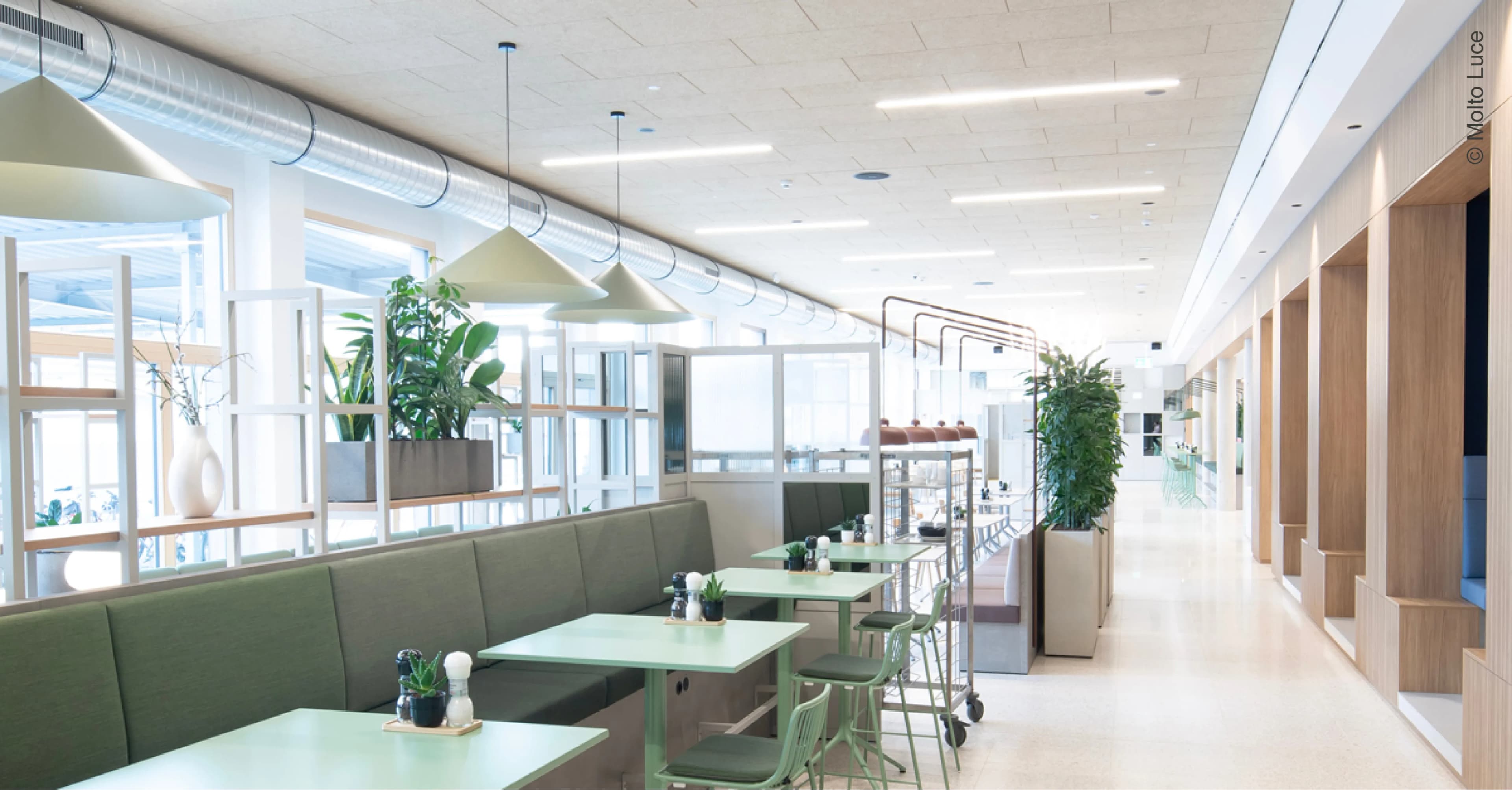 💡 Gute Bürobeleuchtung – mehr als nur Licht!