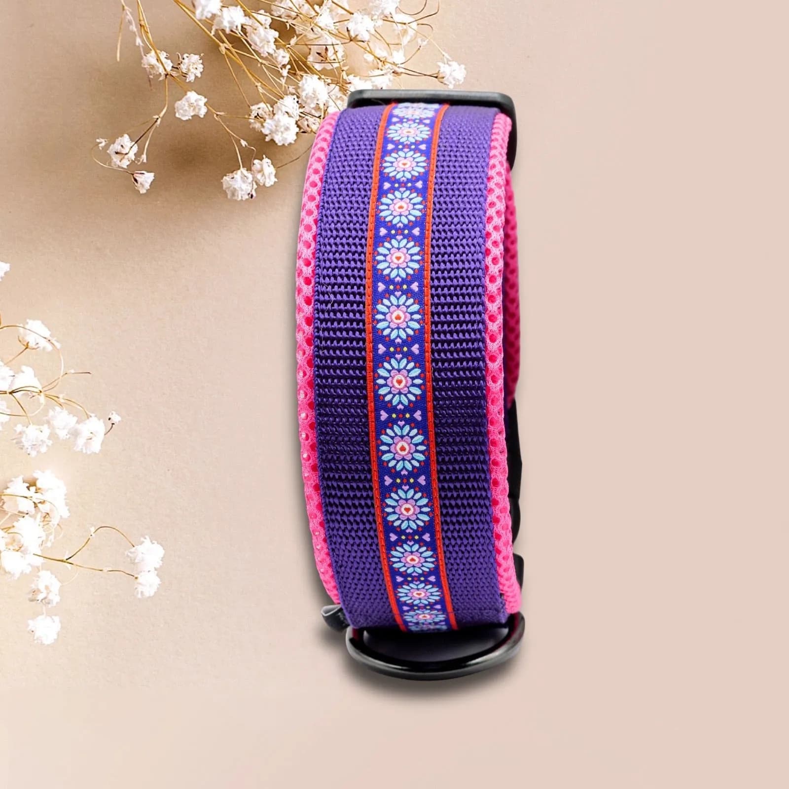 Hundehalsband mit Webband "Dein Design"