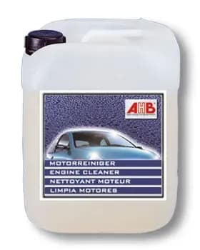 Motorreiniger