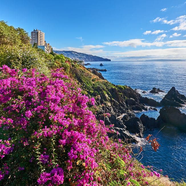 Madeira für Singles und Alleinreisende