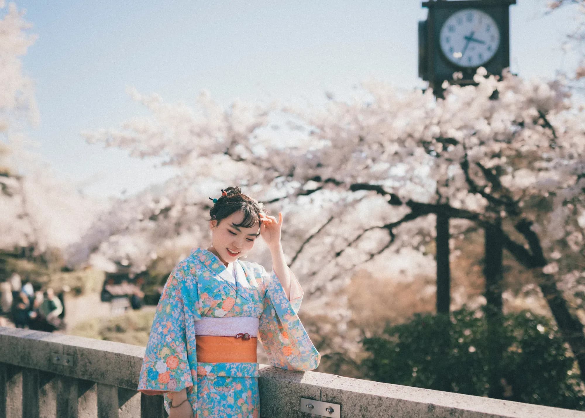 Japan zur Kirschblüte