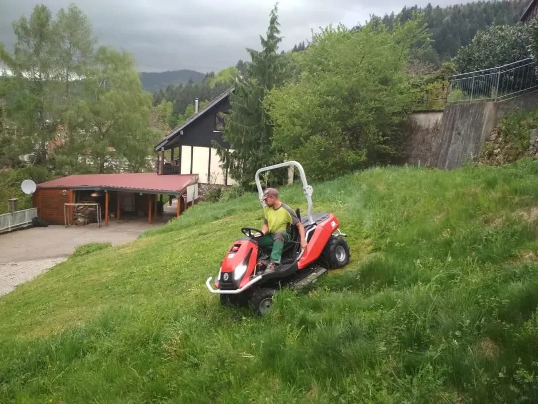 Professionelle Gartenpflege in Bühl – Sicher & Fachgerecht