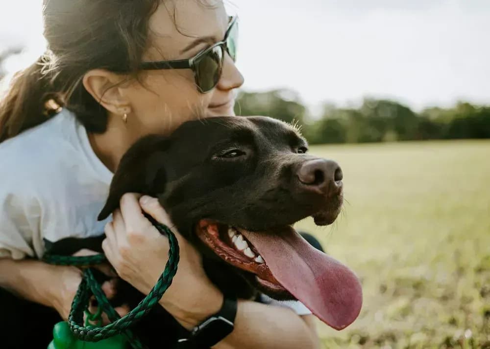 Hundefreundliche Unterkunft