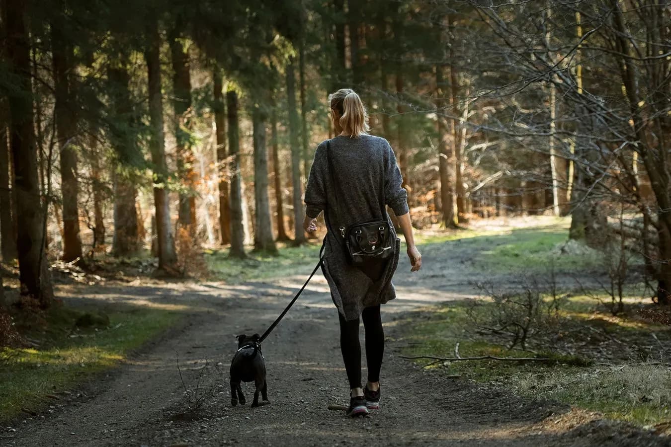 Hundefreundliches Wellness- und Wanderhotel in Oberösterreich