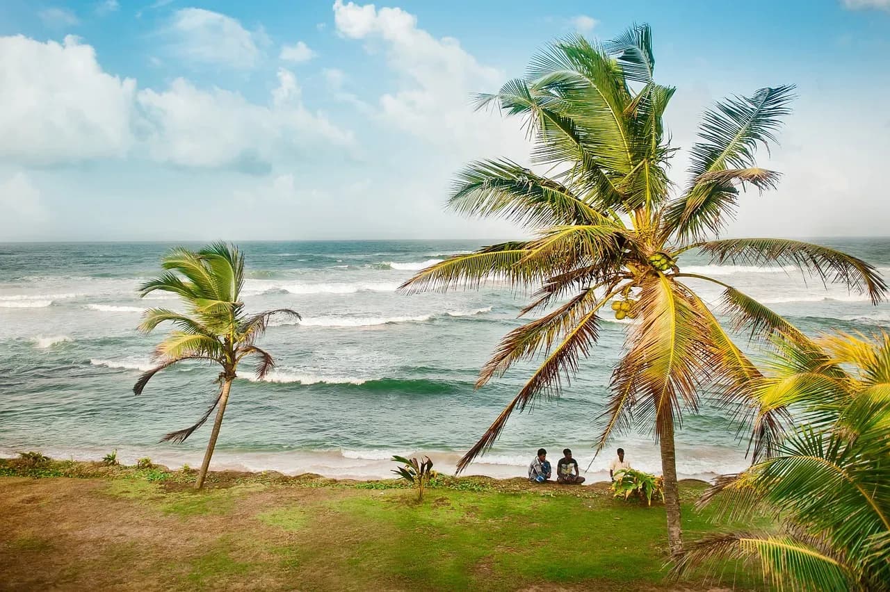 Sri Lanka erleben – Strände, Tempel und Teeplantagen