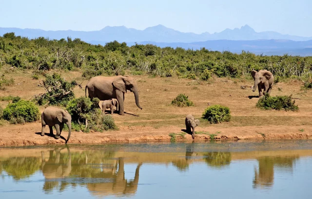 Südafrika erleben – Von Kapstadt bis zum Krüger-Nationalpark