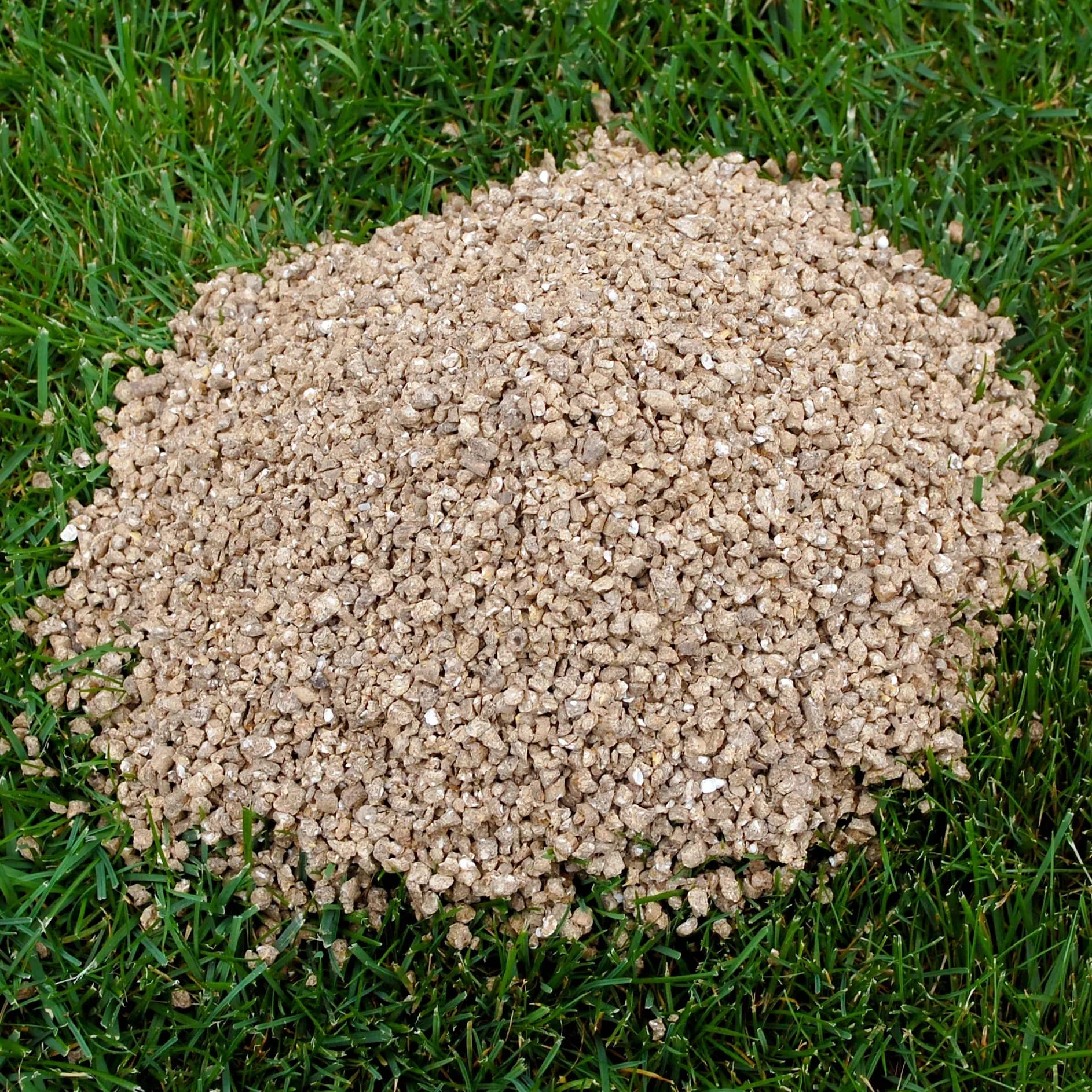 Profi Rasendünger für den Frühling