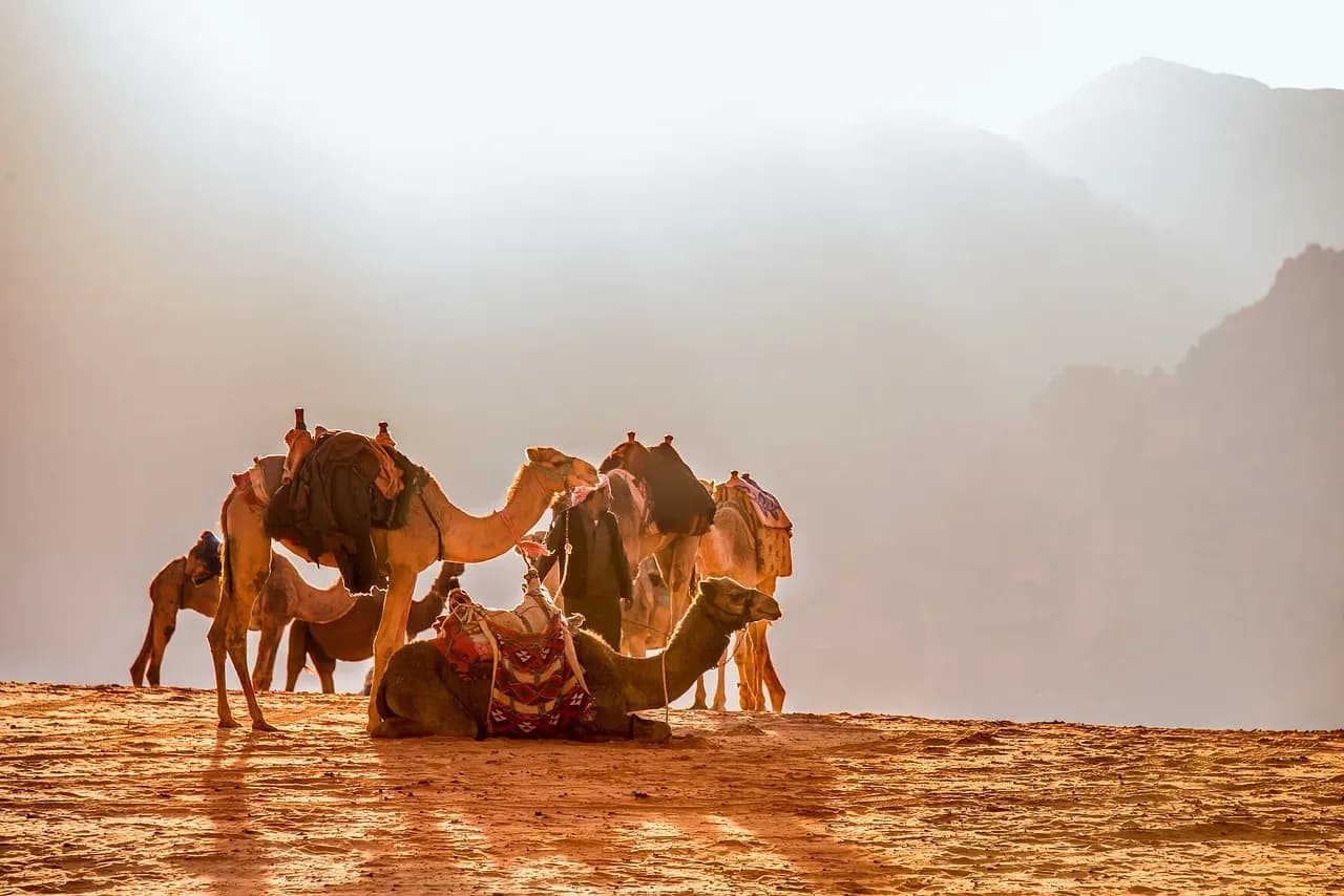 Jordanien entdecken – Petra und Wadi Rum erleben