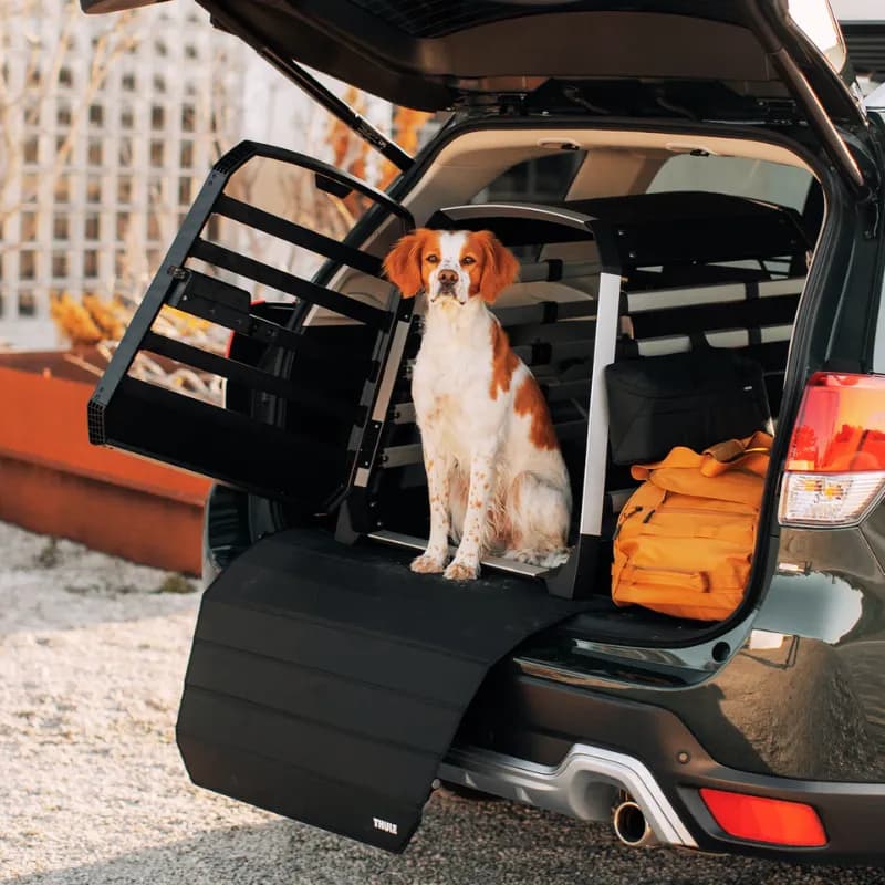 Hundebox Allax – Robuste und sichere Aufbewahrungslösung für deinen Hund auf Reisen!