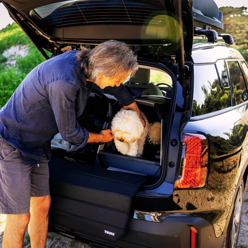 Hundebox Allax für Ladekante – Sicherer Transport deines Hundes mit optimalem Schutz für dein Fahrzeug!