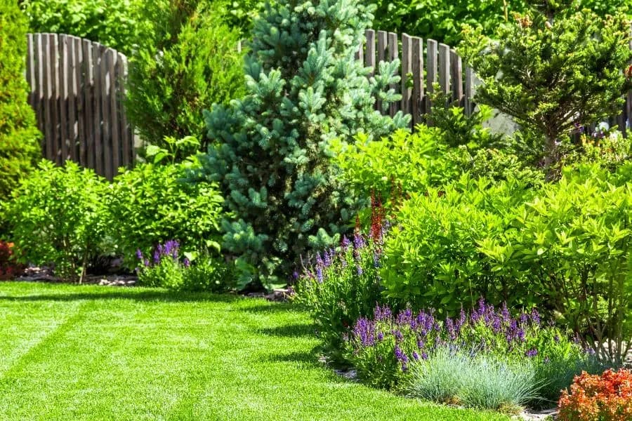 Gartenservice 