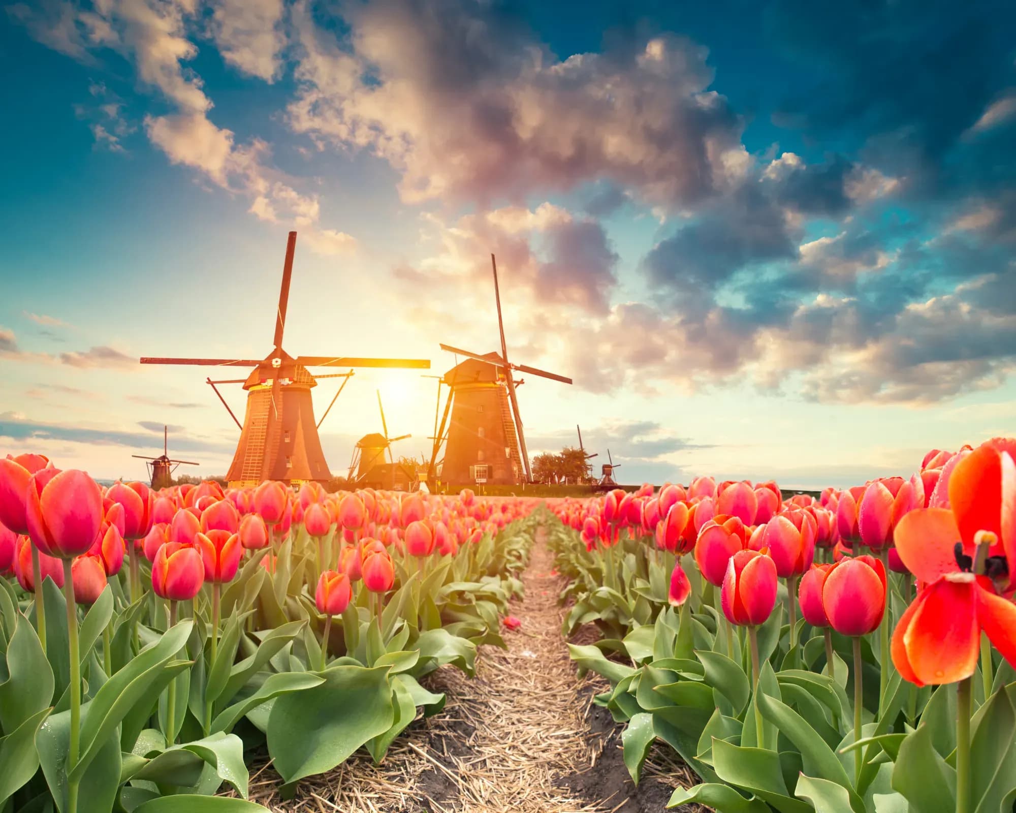 Holland - Amsterdam