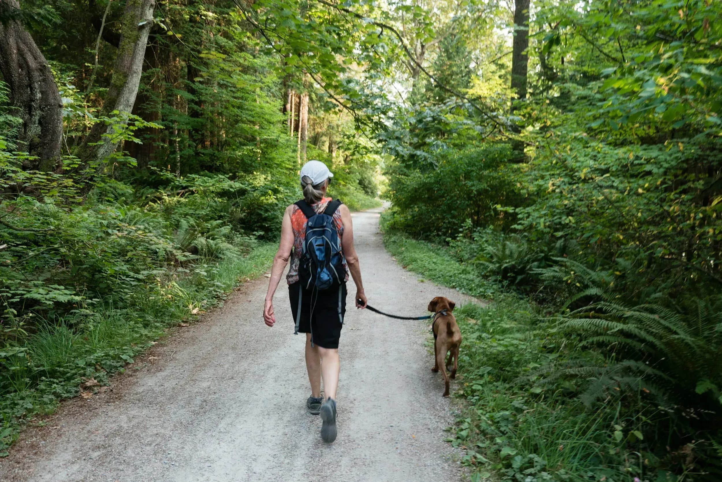 Urlaub mit Hund