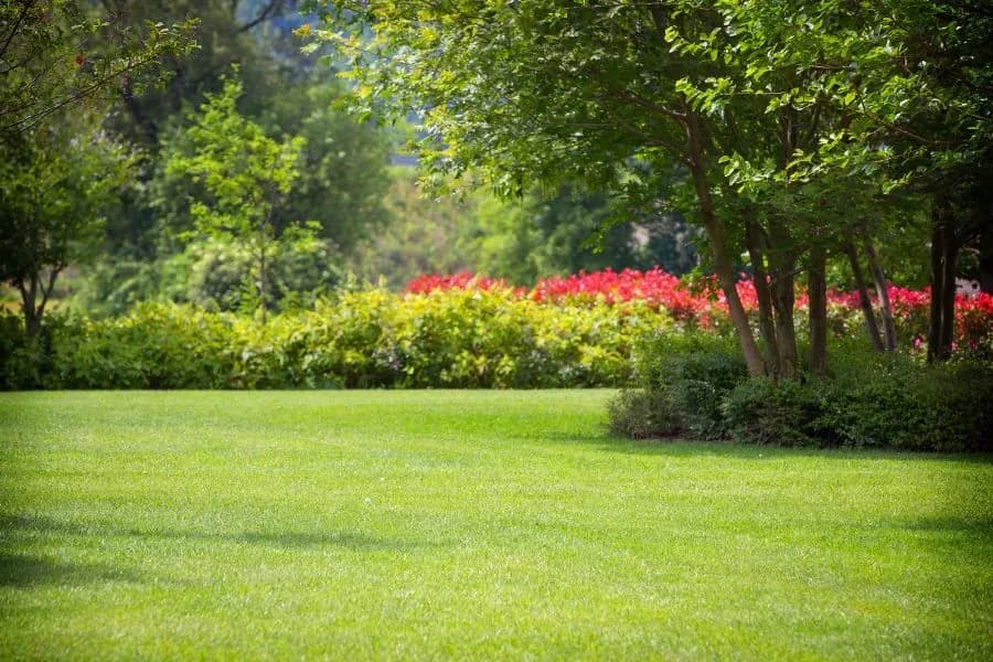 Gartenservice
