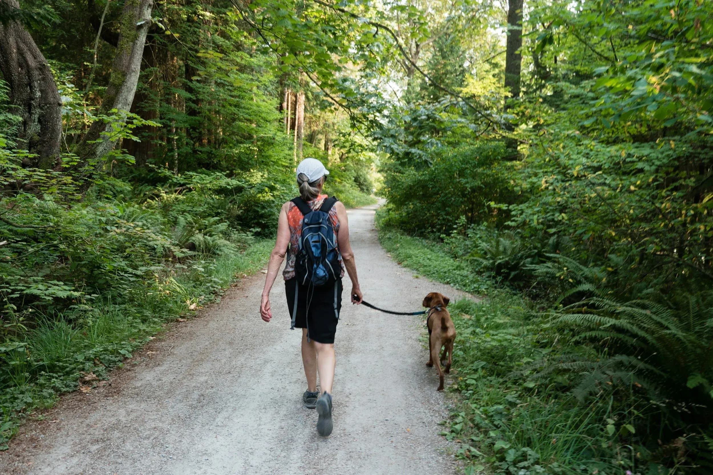 Hundefreundliches Apartment in Salzburg – Urlaub mit dem Hund in den Alpen genießen