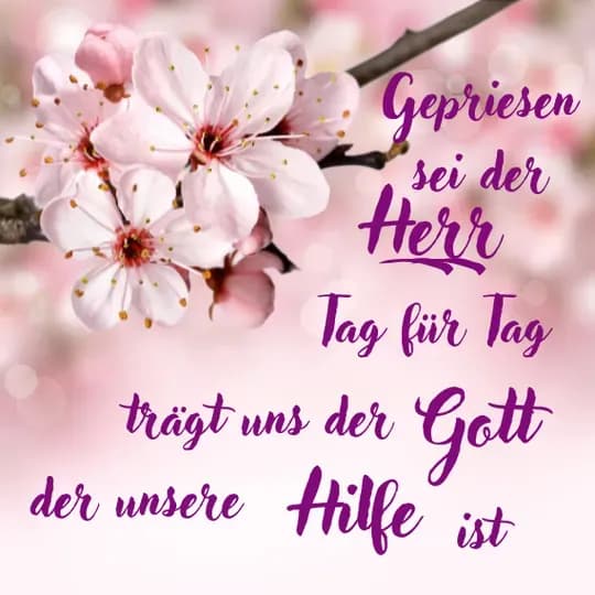 Christliche Bilder für Wohnzimmer, Flur & Gebetsräume
