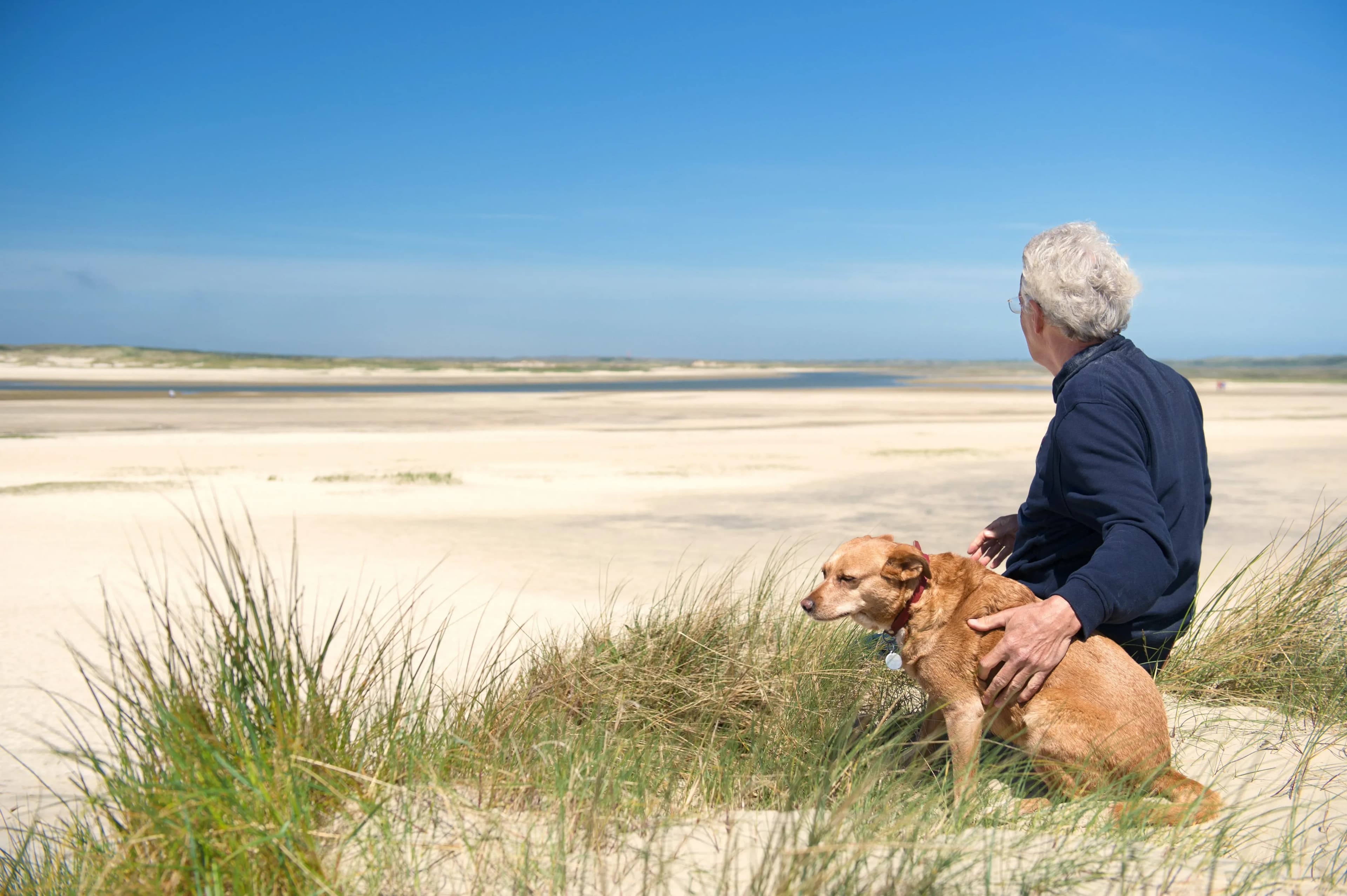 Urlaub mit Hund – Tierfreundliche Unterkunft an der Nordsee buchen