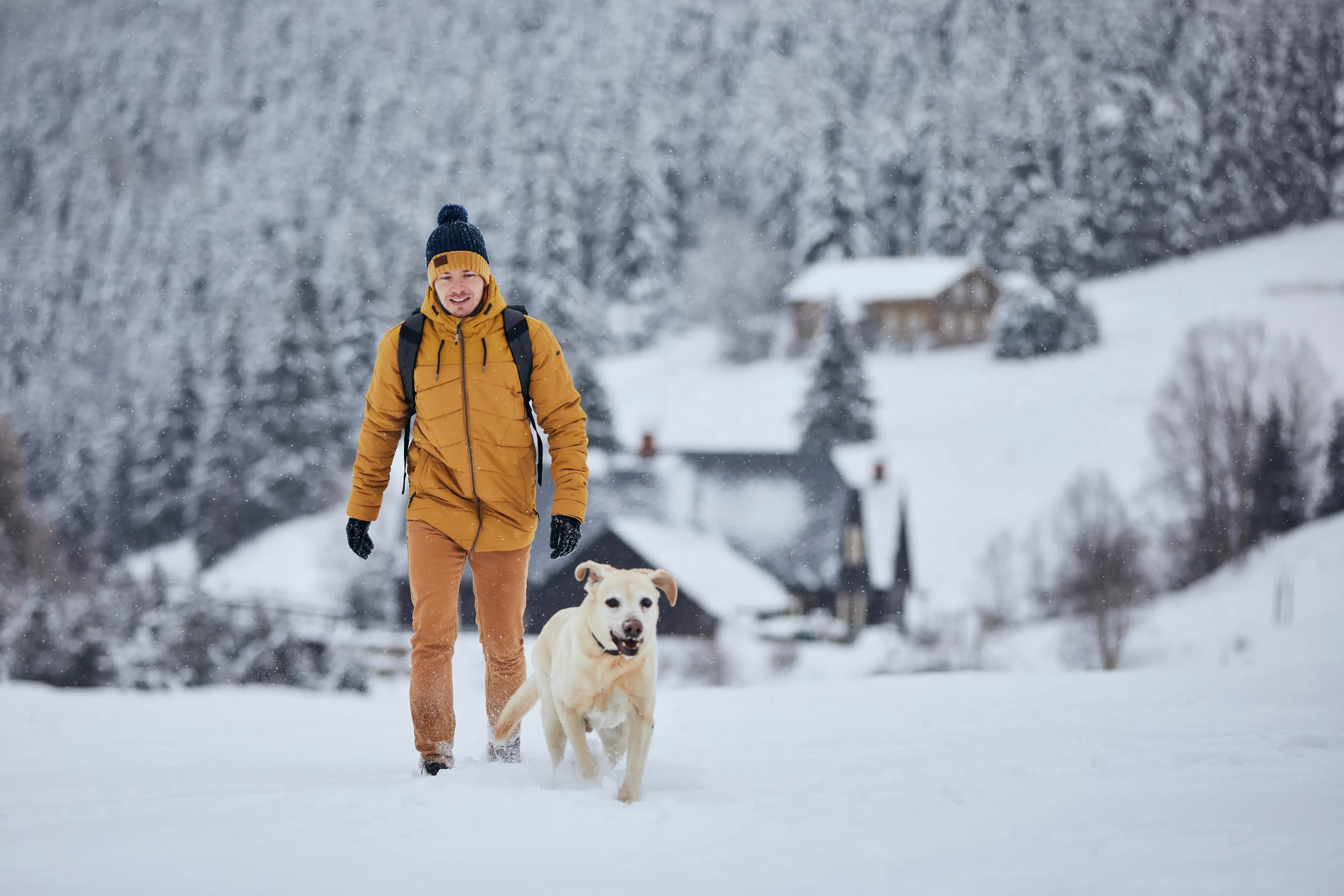 Skiurlaub mit Hund in Oberösterreich – Ferienhaus buchen