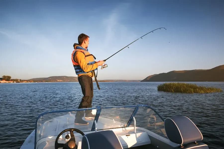 Daiwa Angelgeräte kaufen