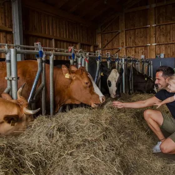 Familienhotel mit Bauernhof im Bayerischen Wald buchen