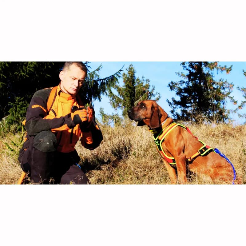NIGGELOH Führgeschirr Follow TRAIL – Komfort und Kontrolle für dein Hund bei allen Trail-Abenteuern!