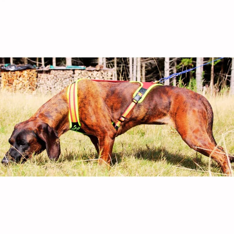 NIGGELOH Führgeschirr Follow TRAIL – Komfort und Kontrolle für dein Hund bei allen Trail-Abenteuern!