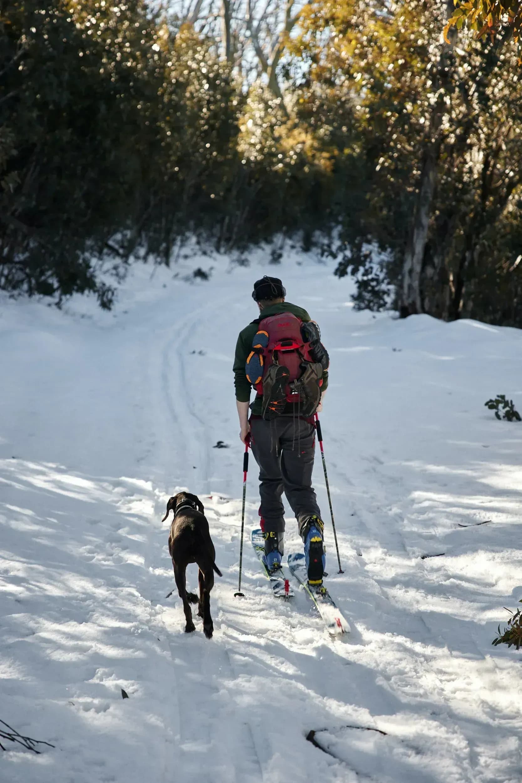 Chesa Montana - deine moderne Ferienwohnung für Urlaub mit Hund in Maria Alm