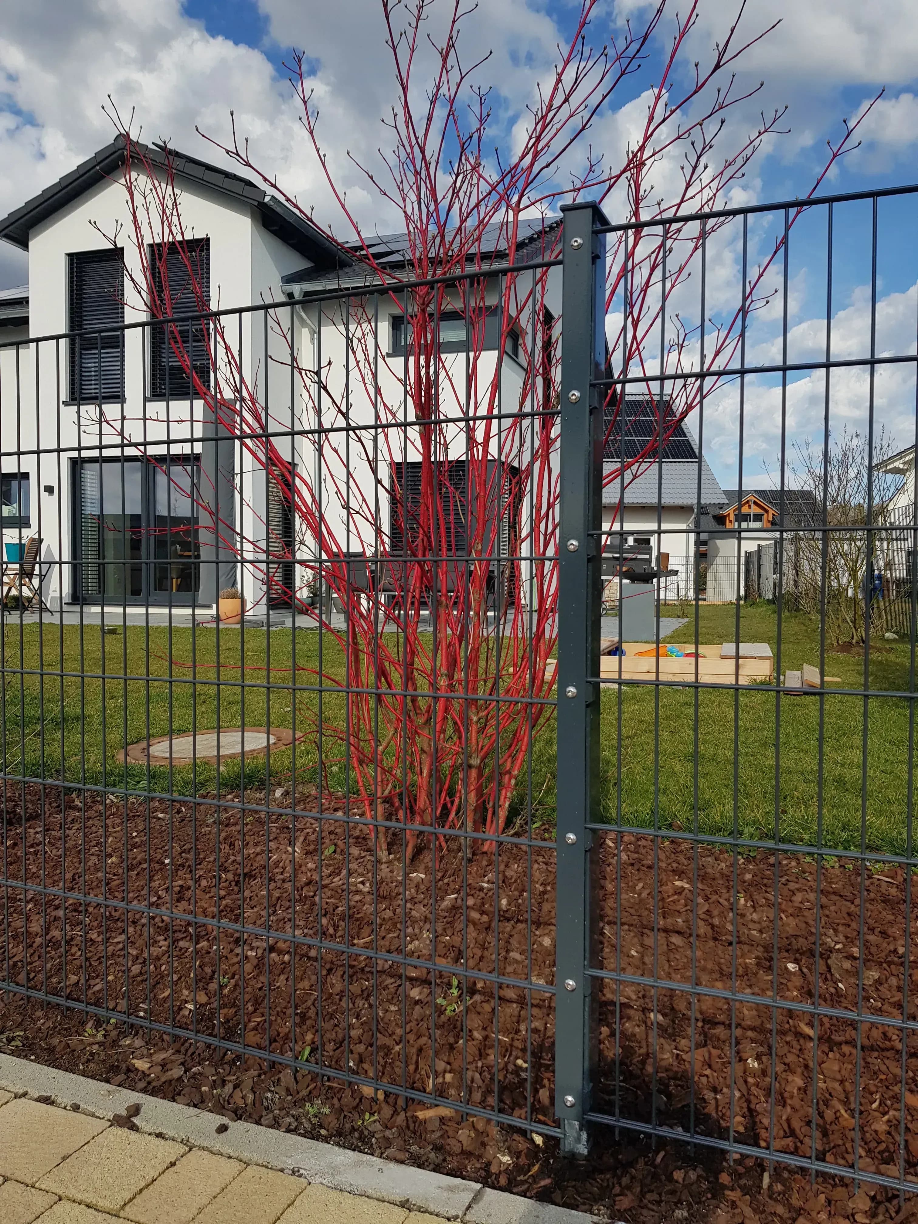Zäune und Tore aus Metall Langlebig und pflegeleicht