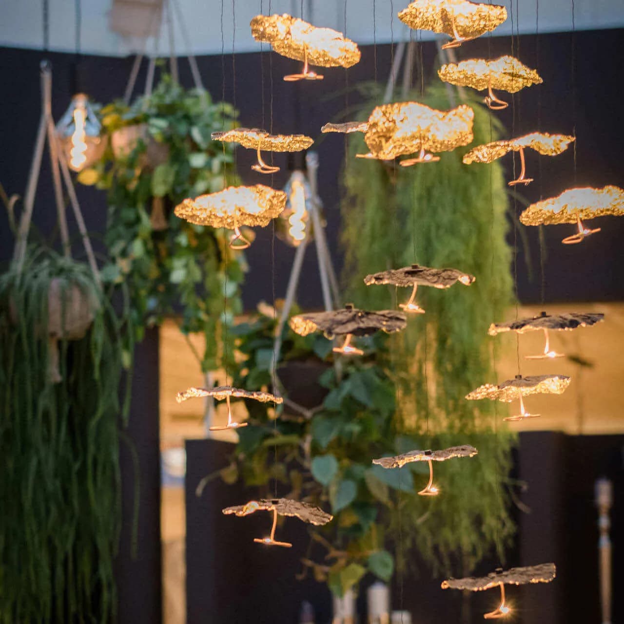 Größtes Lichtstudio im Rheinland