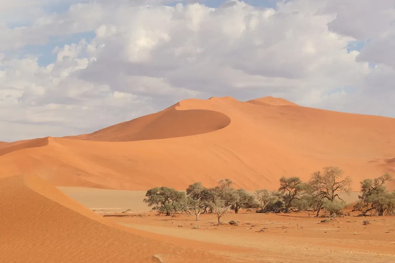 Namibia entdecken – Wüste, Wildlife und Weite