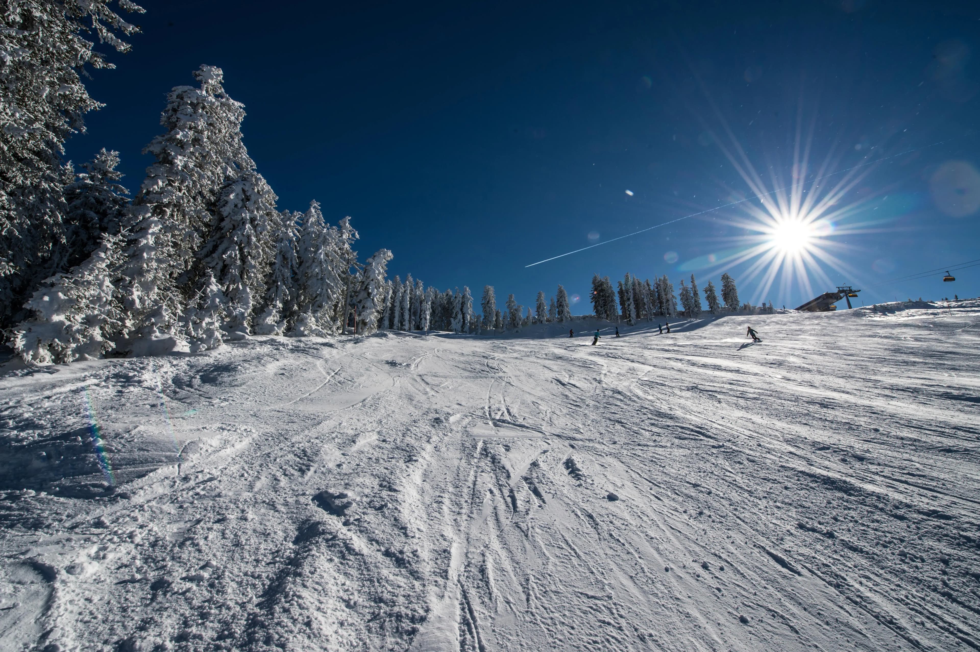 Ferienappartement an der Piste