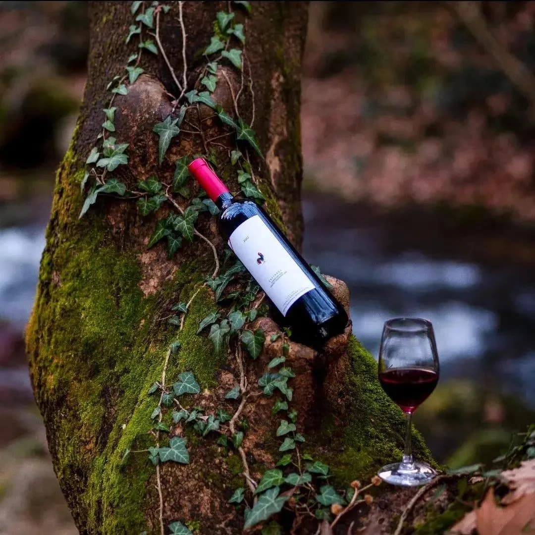 Papagiannakos Erythros Rotwein
