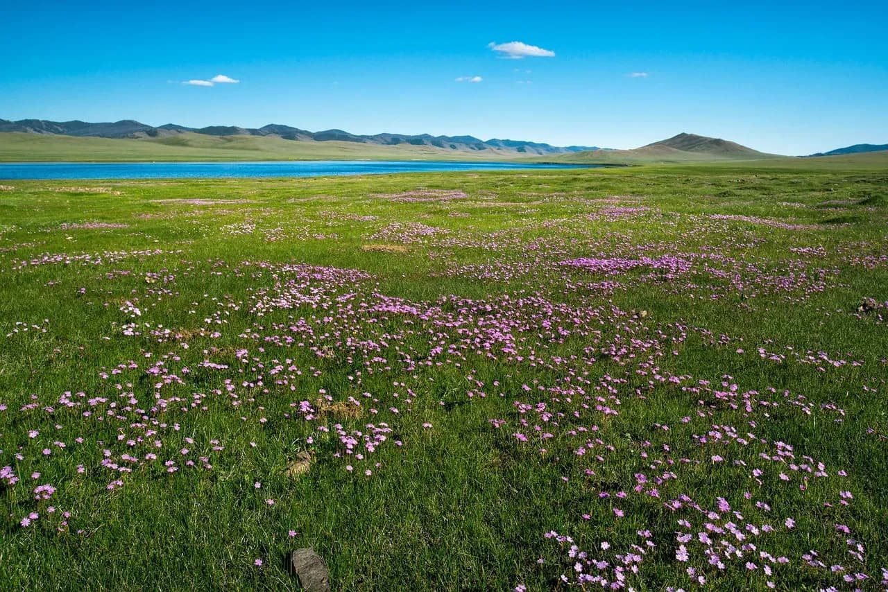 Maßgeschneiderte Reisen in die Mongolei erleben