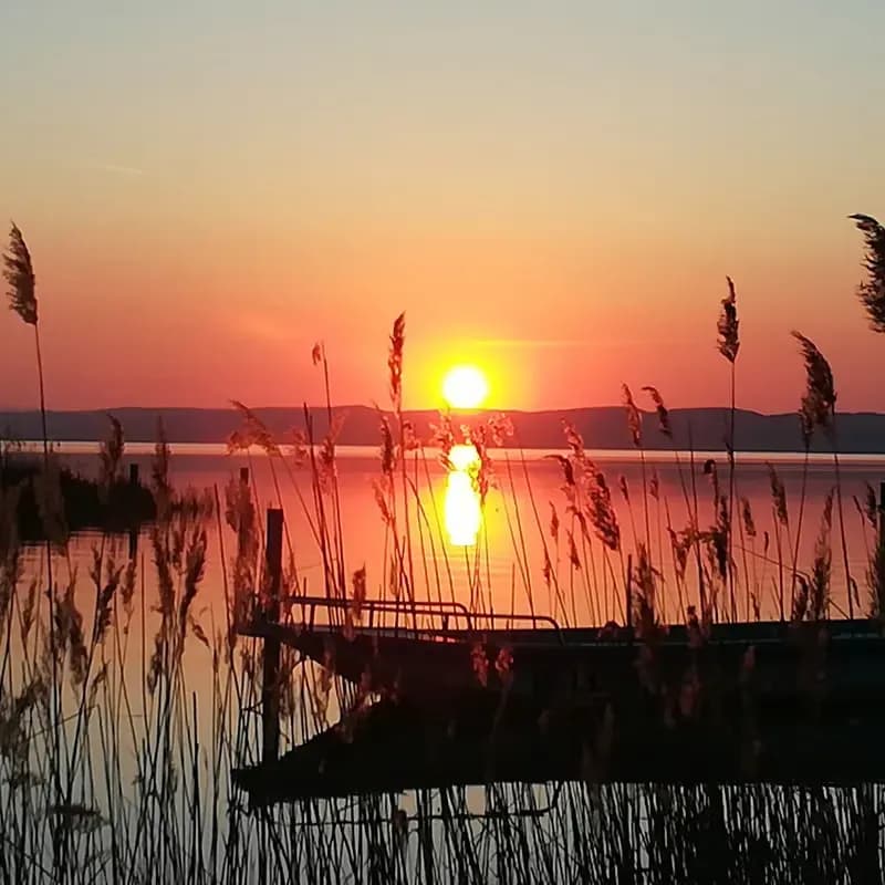 Apartment am Neusiedler See mieten – Entspannung in idyllischer Umgebung