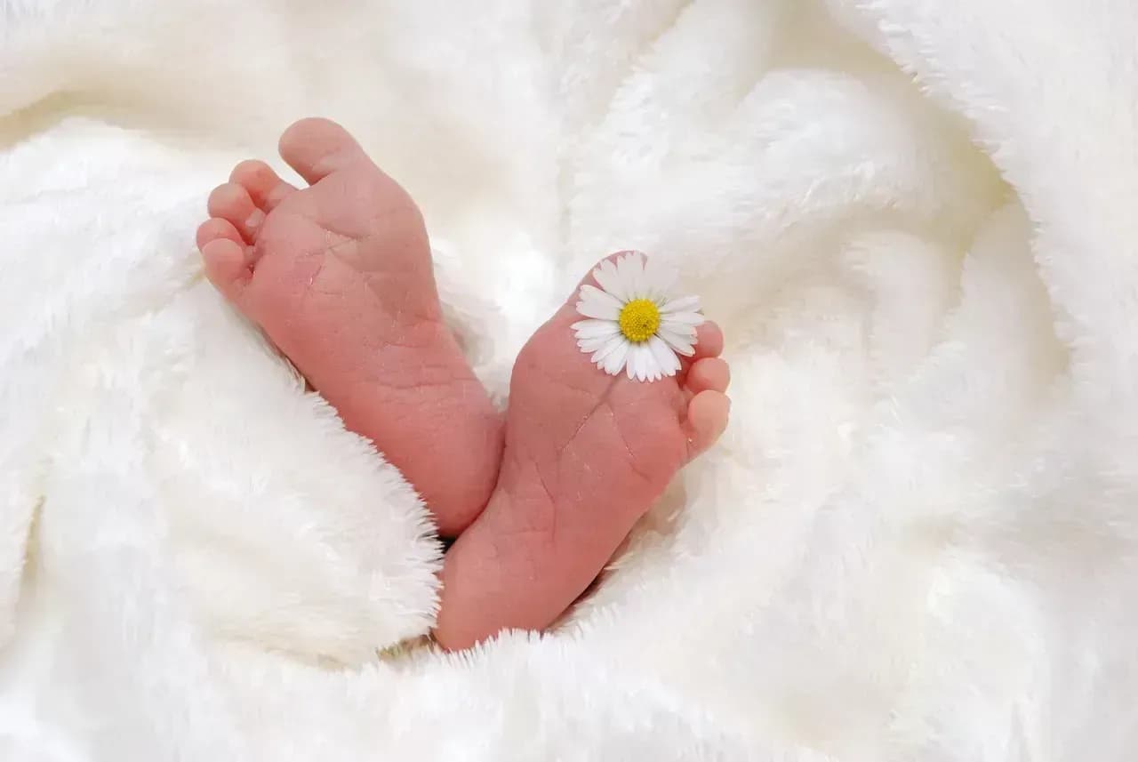 Kinderwunschklinik in der Nähe von Stuttgart – Professionelle Begleitung