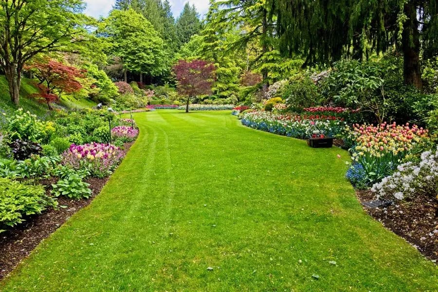 Rindenmulch & Gartenfaser