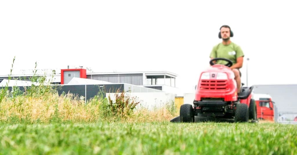 Professionelle Gartenpflege in Bühl – Sicher & Fachgerecht