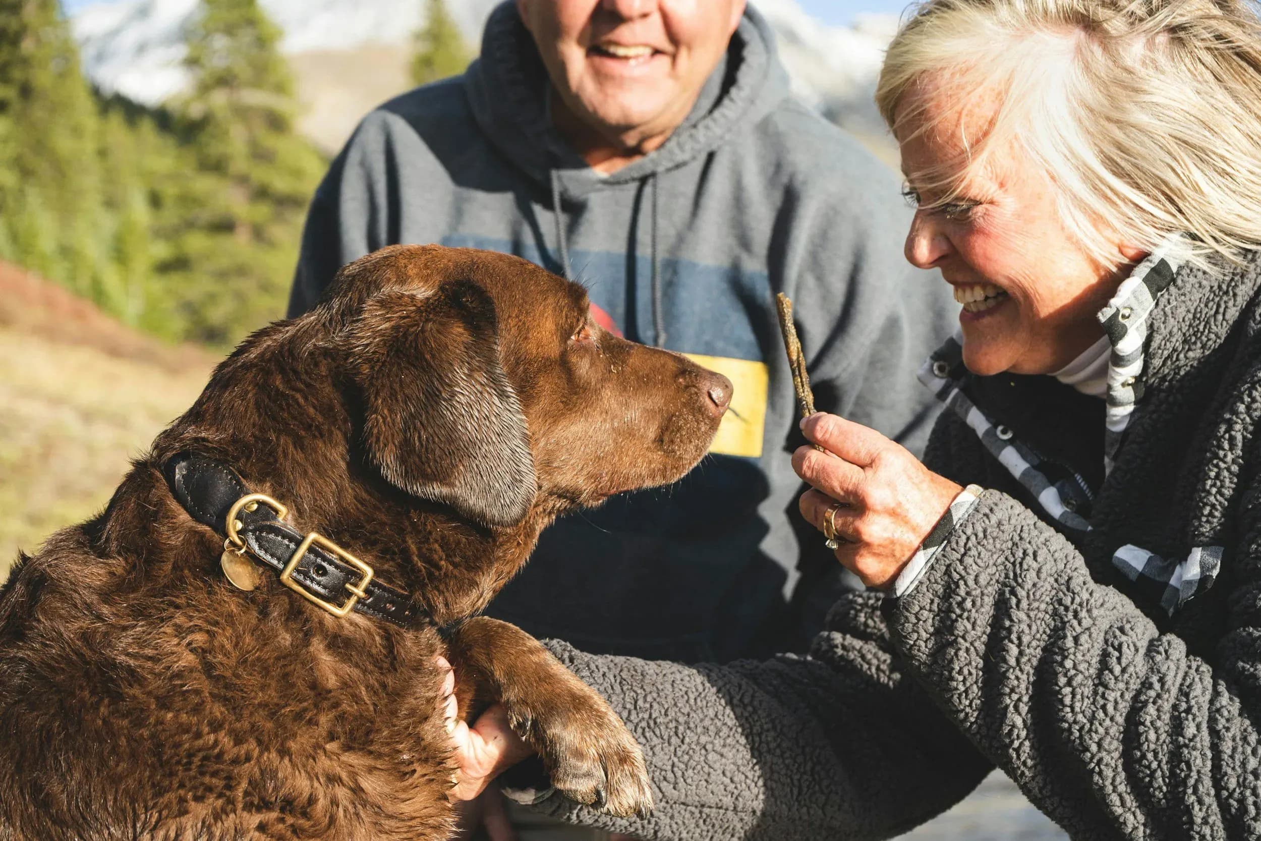 Hundefreundliche Ferienwohnung im Salzburger Land - Urlaub mit dem Hund