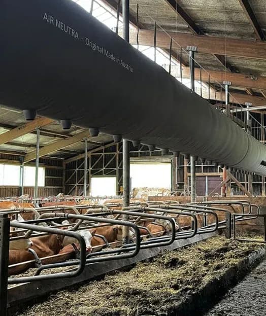 Effiziente Lösung gegen schlechte Stallluft