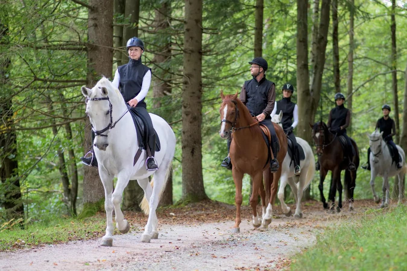Urlaub mit Pferden im Salzkammergut – Reitkurse und Training