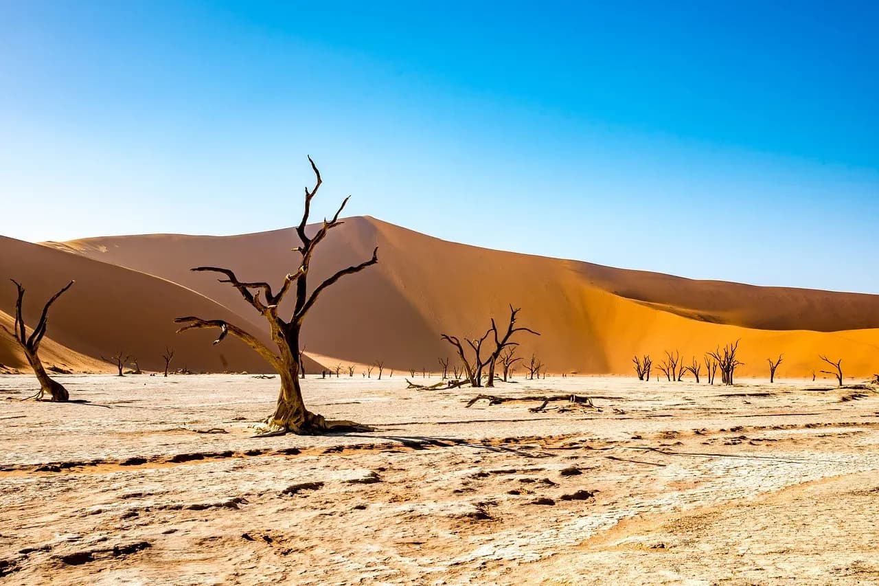 Reisetipps Namibia – Abenteuer im Land der Kontraste
