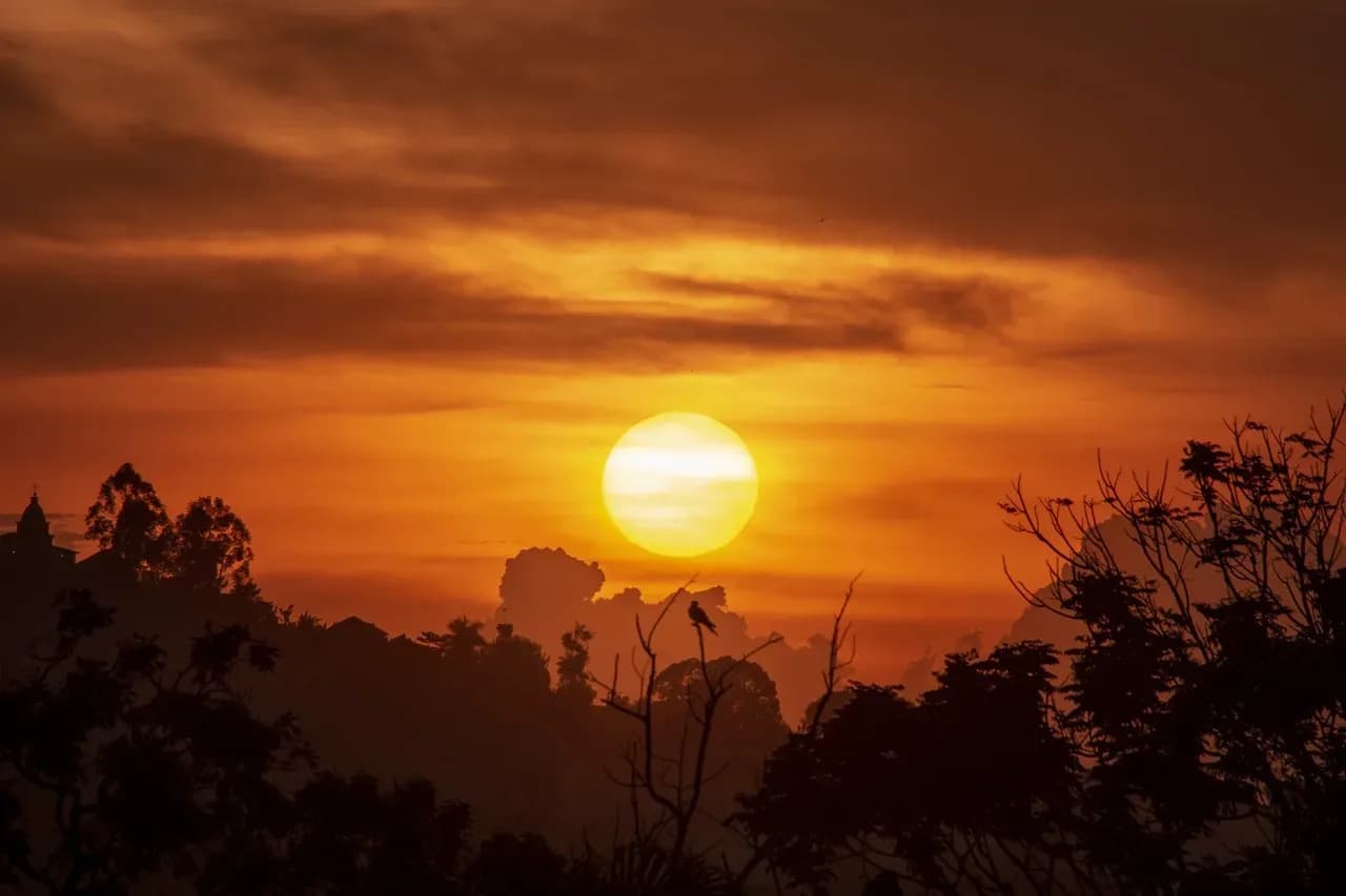 Uganda erleben – Die Perle Afrikas entdecken