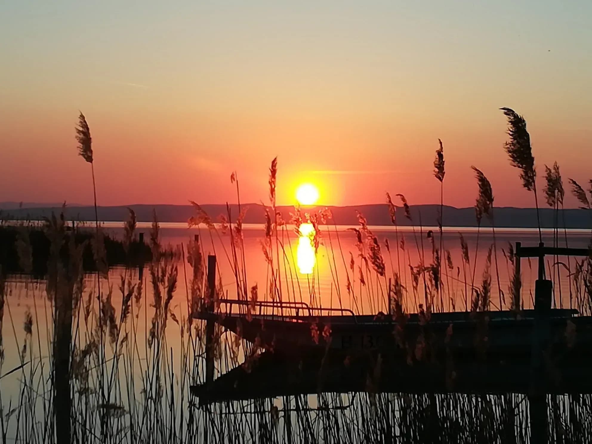Basenfasten mit Heilpflanzen am Neusiedler See – Sanfte Entgiftungskur genießen