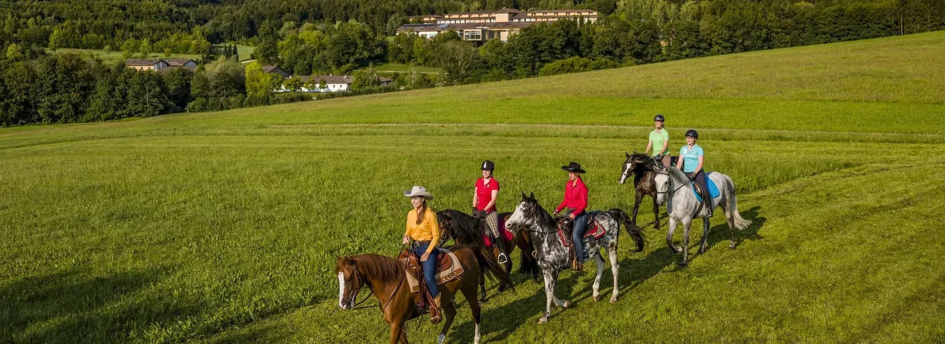 Reiturlaub mit eigenem Pferd in Österreich