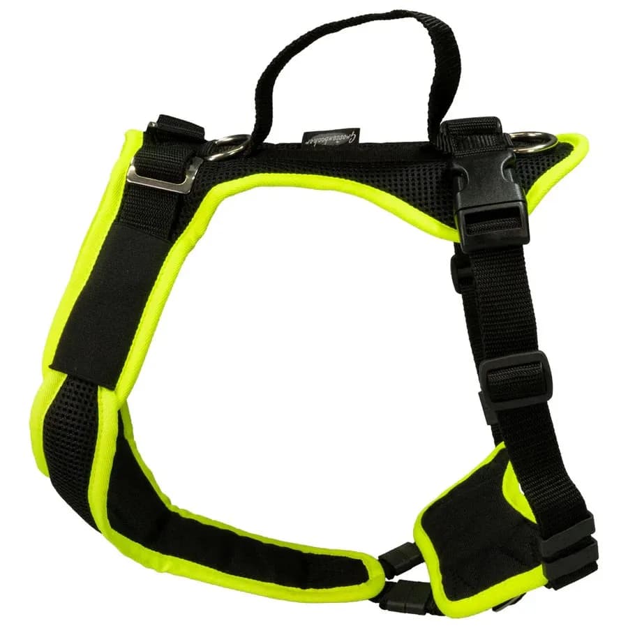 Beat Grossenbacher  Vary Hundegeschirr
